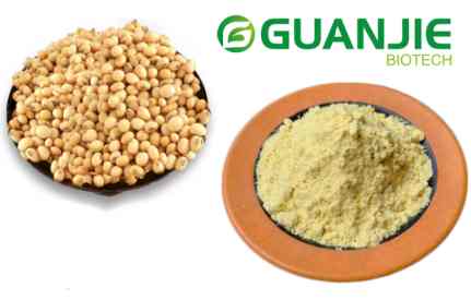pure soy lecithin pure soy lecithin